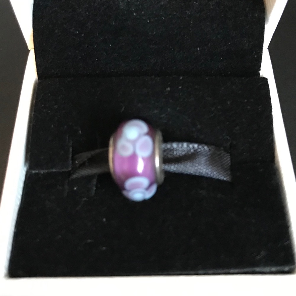 Pandora Charm